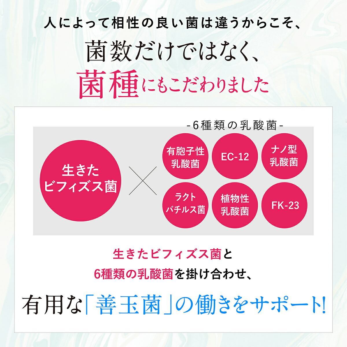ビオナス乳酸菌サプリ乳酸菌サプリメント酪酸菌ビフィズス菌腸活サプリ健康美容タブレット善玉菌サプリメントダイエット