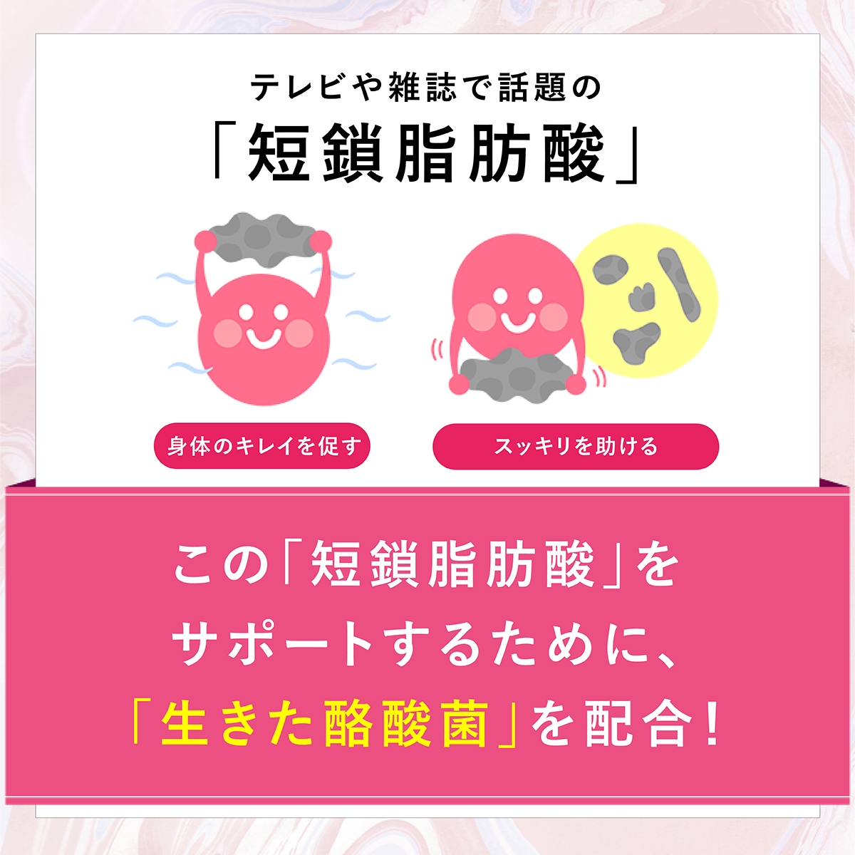 ビオナス乳酸菌サプリ乳酸菌サプリメント酪酸菌ビフィズス菌腸活サプリ健康美容タブレット善玉菌サプリメントダイエット