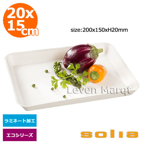 ソリア solia キャノピーパルププレート 20×15cm 200個入り 内側ラミネート加工あり エコシリーズ【ケータリング/紙容器/使い捨て食器】|リーベンマルクト店