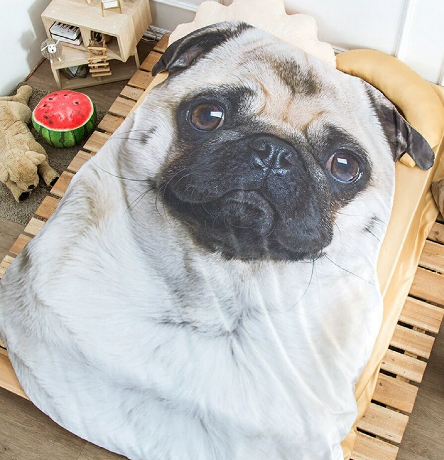 可愛い パグ毛布犬柄 ブランケット 防寒対策 ひざ掛け 夏かけ布団80x115 パグ雑貨