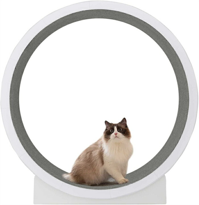 キャットホイール 猫 ランニングホイール キャットウォーク キャット ローラー 猫のトレッドミル 回し車 爪研ぎ キャットエクササイズホイール 動物のエクササイズホイール ノイズなし 軽量 猫のおもちゃ 34,648円