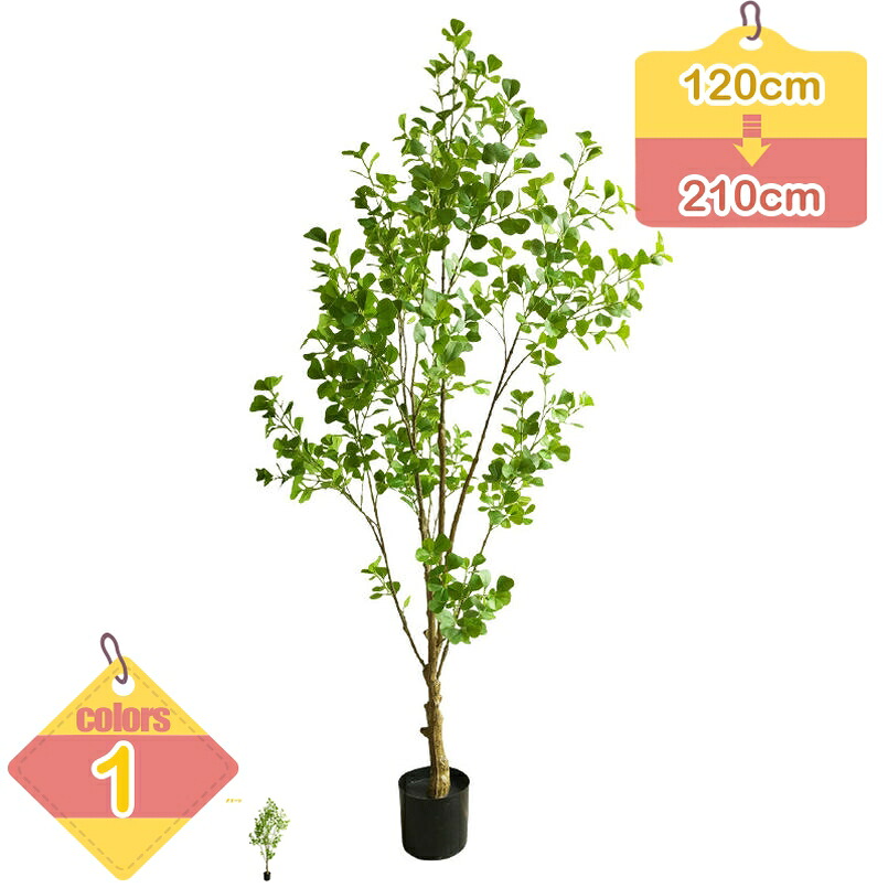 1000円OFFクーポン券 ウンベラータ フェイクグリーン 大型 鉢植え 本当の 馬鹿でかい 人工あずま屋 エントランス状態 バス発着場 お取りつくろう不必要 執務室 自然的 人工観葉草木 造花 室内 開店祝賀会 営造祝賀会 風水 引き越す祝賀会 差し上げ物 室内装飾緑であること liber-online
