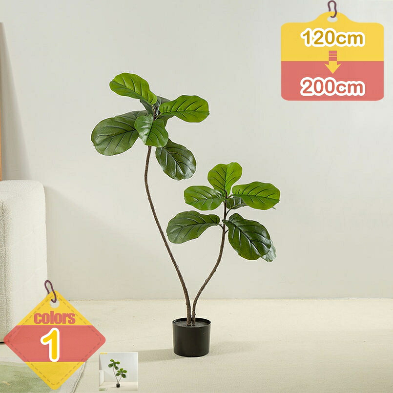 1000円OFFクーポン フェイクグリーン ウンベラータ 葉 葉っぱ 人工樹木 鉢植え 部屋の観葉植物 部屋に飾る植物 リビングの観葉植物 部屋に置く植物 人工観葉植物 造花 インテリア かわいい 緑 リアル おしゃれ お祝い 室内 部屋 リビング 玄関 風水 オシャレ 和風|りべる通販