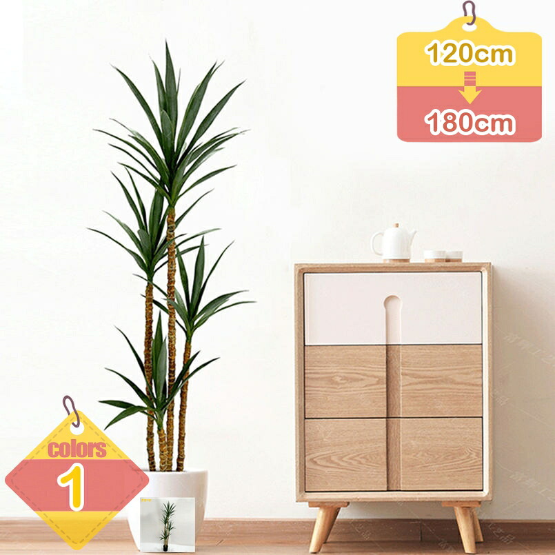 1000円OFFクーポン券 フェイクグリーン ユッカの木 人工観葉草木 造花 執務室 部屋の入り口 今めかしい 大型 常緑樹 御祭り 差し上げ物 心うれしいの木 本当の 人工草木 消臭 抗菌 防菌類 分かりやすい 本物そっくり 室内装飾緑であること 開店 引き越す 室内 リビング liber-online