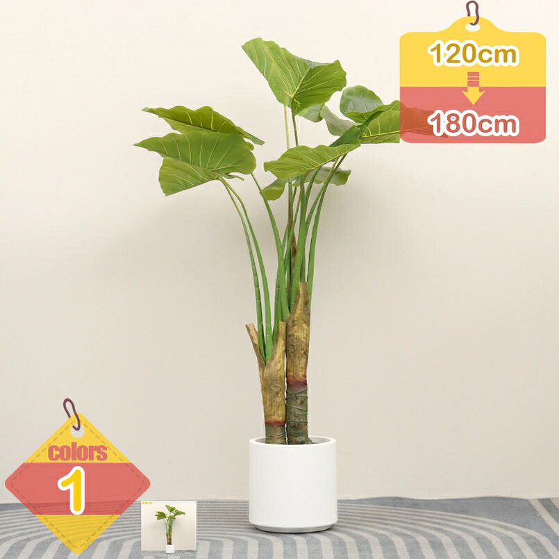 クワズイモ 幹をグネグネ曲げられる 観葉草木 鉢植え 土を使わない観葉草木 大型 本物そっくり 室内用 今めかしい フェイクグリーン 開店祝賀会 開業祝賀会 室内装飾緑であること 水やり不必要 消臭 抗菌 分かりやすい リビング 部屋の入り口 liber-online