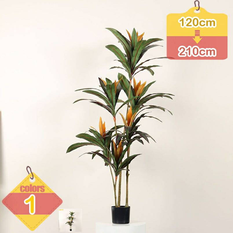 1000円OFFクーポン券 ドラセナ 和風 室内装飾 鉢植え 水やり不必要 お取りつくろう飾り気の無い 大型 人工観葉草木 お正月 年末年始 お引き越す 開店祝賀会 営造祝賀会 消臭 抗菌 分かりやすい 本物そっくり 今めかしい 室内 執務室 老人ホーム 身寄り フェイクグリーン 観葉樹 liber-online