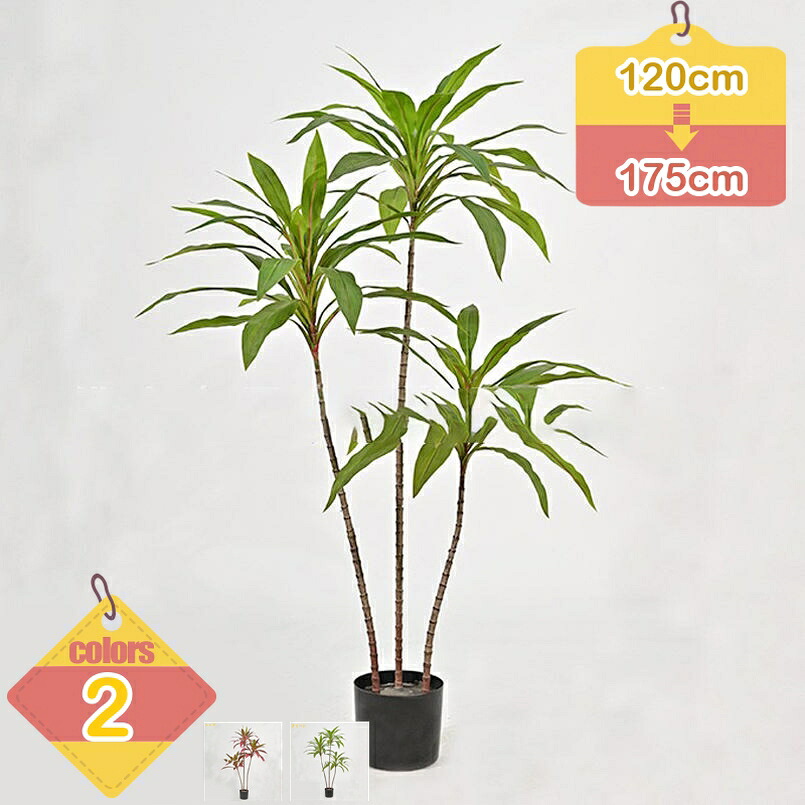1000円OFFクーポン券 観葉草木 ドラセナ 造花 鉢植え フェイクグリーン 大型 馬鹿でかい 開運 仕合わせの木 育て分かりやすい 水やり不必要 虫害の気づかわしさなし お取りつくろう飾り気の無い 差し上げ物 開店祝賀会 営造祝賀会 差し上げ物 差し上げ物 室内装飾 老人ホーム庭園 回廊 室内用便器 和室 liber-online