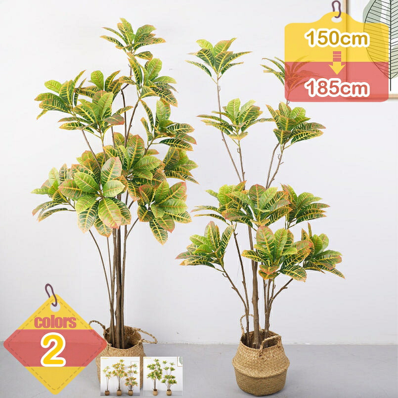 1000円OFFクーポン券 心うれしいの木 クロトンノキ 観葉草木 フェイクグリーン 屋内 バス発着場かざり付ける 室内装飾 お取りつくろう不必要 水やり不必要 観葉樹 造花 仕合わせの木 エントランス状態 話し合い室 事務室 泊まり 御部屋 鉢植え 本物そっくり 格好のいい 大型 御祭り 差し上げ物 liber-online