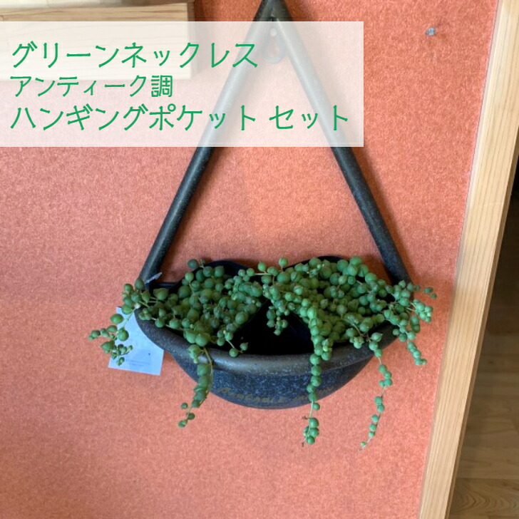 グリーンネックレス2個 ハンギングポケットセット 観葉植物 多肉植物 ミニ観葉植物 オシャレ インテリアグリーン 可愛い 吊り下げ ハンギング アンティーク調 小さい Corcoranglass Com