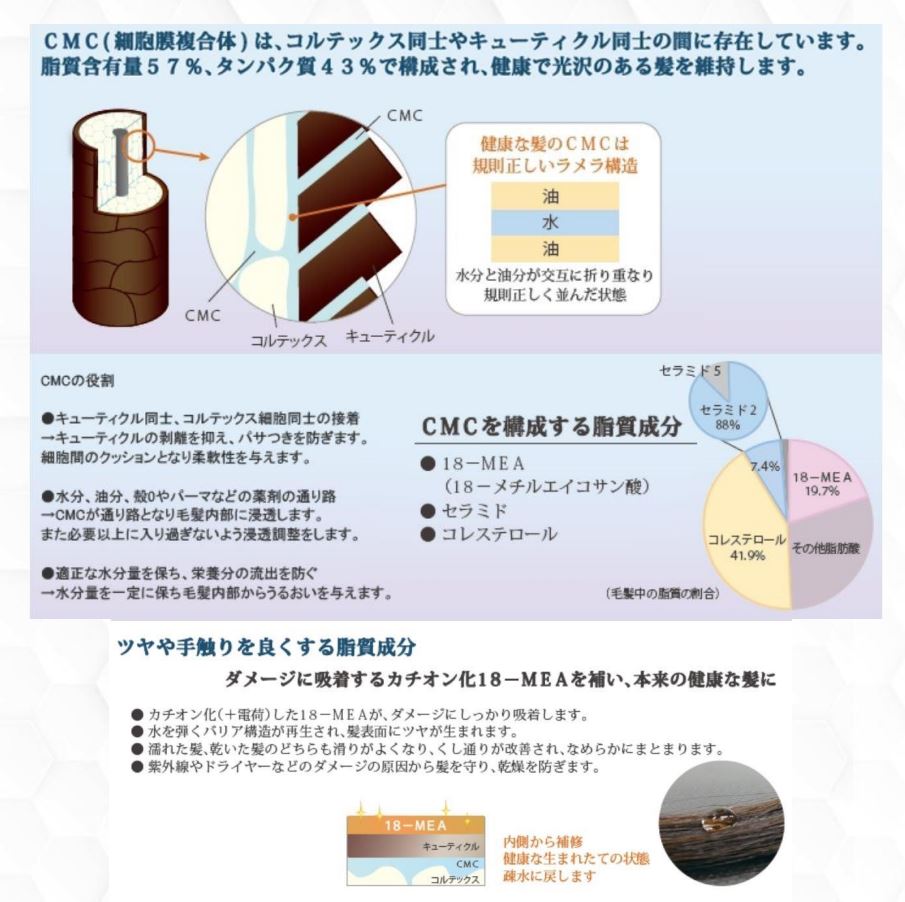 【正規品】β-LAYERベータレイヤーCMCケアシャンプーリフィル(詰替用)1000g