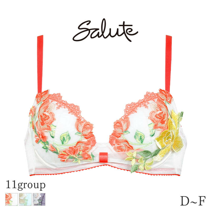 サルート　11G E70 Amazon | ワコール Wacoal サルート Salute 11G BTJ411 P-UP