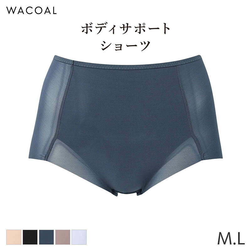 楽天市場】【1/16 10:59まで22%OFF】ワコール スタイルチェンジャー