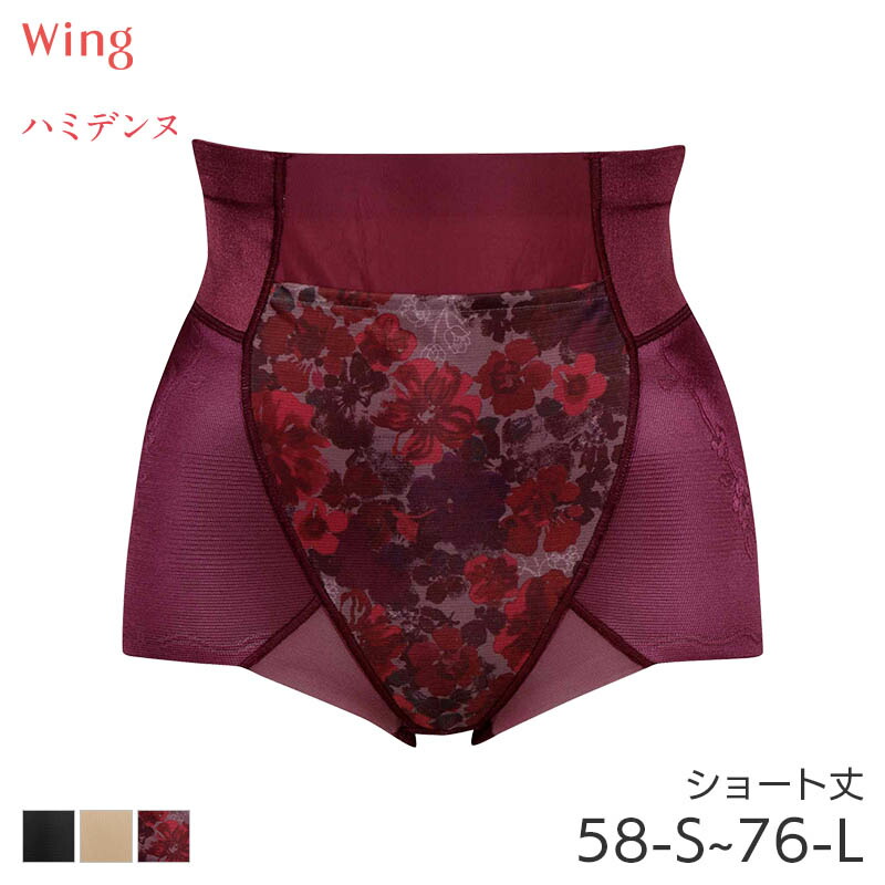【限定セール】Wing ワコール　ハミデンヌ　ロングガードル　64M kq2785_1_24aw.jpg