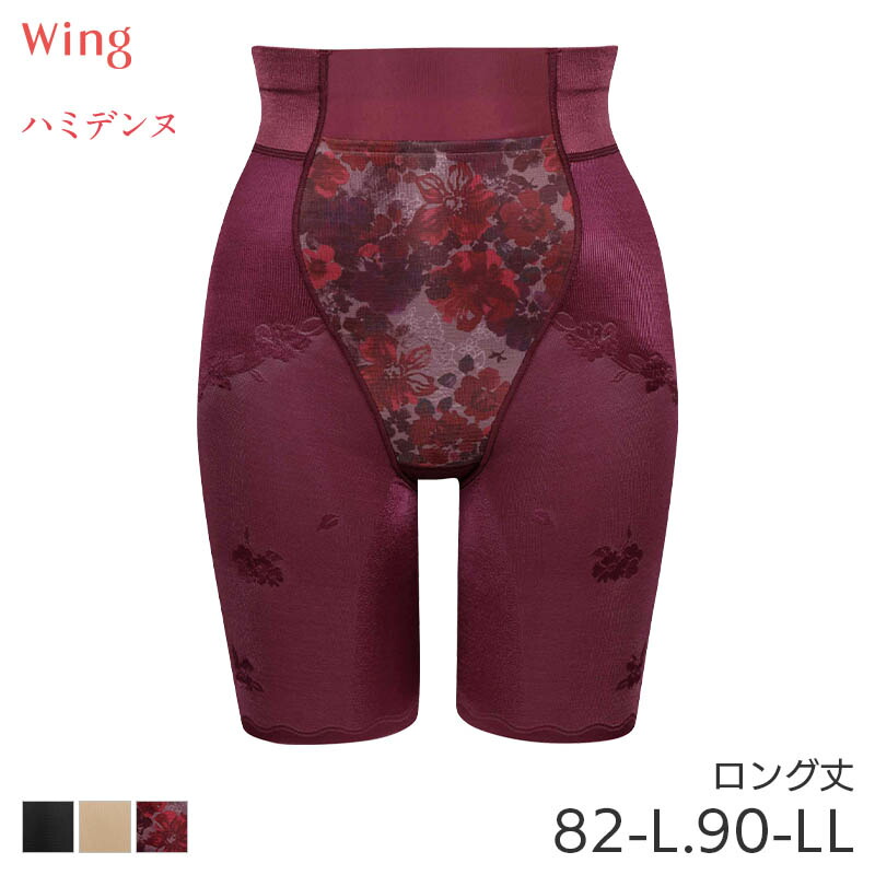 【限定セール】 Wing ワコール　ハミデンヌ　ロングガードル　64M 24aw_kq2785q.jpg