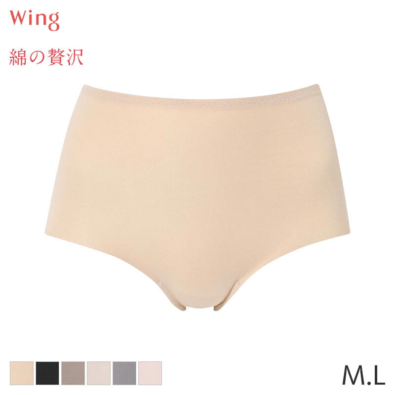 Wing SLIM up PANTS 64ベージュ 骨盤ガードル 4枚セット ウイング／フフ 履けばスタイルアップ【ビューティーアップ