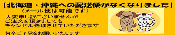 楽天市場】ジェックス ヒノキア 正方形ラビレット消臭セット ベビーピンク＊うさぎ/用品/トイレタリー : PET World アミーゴ楽天市場店