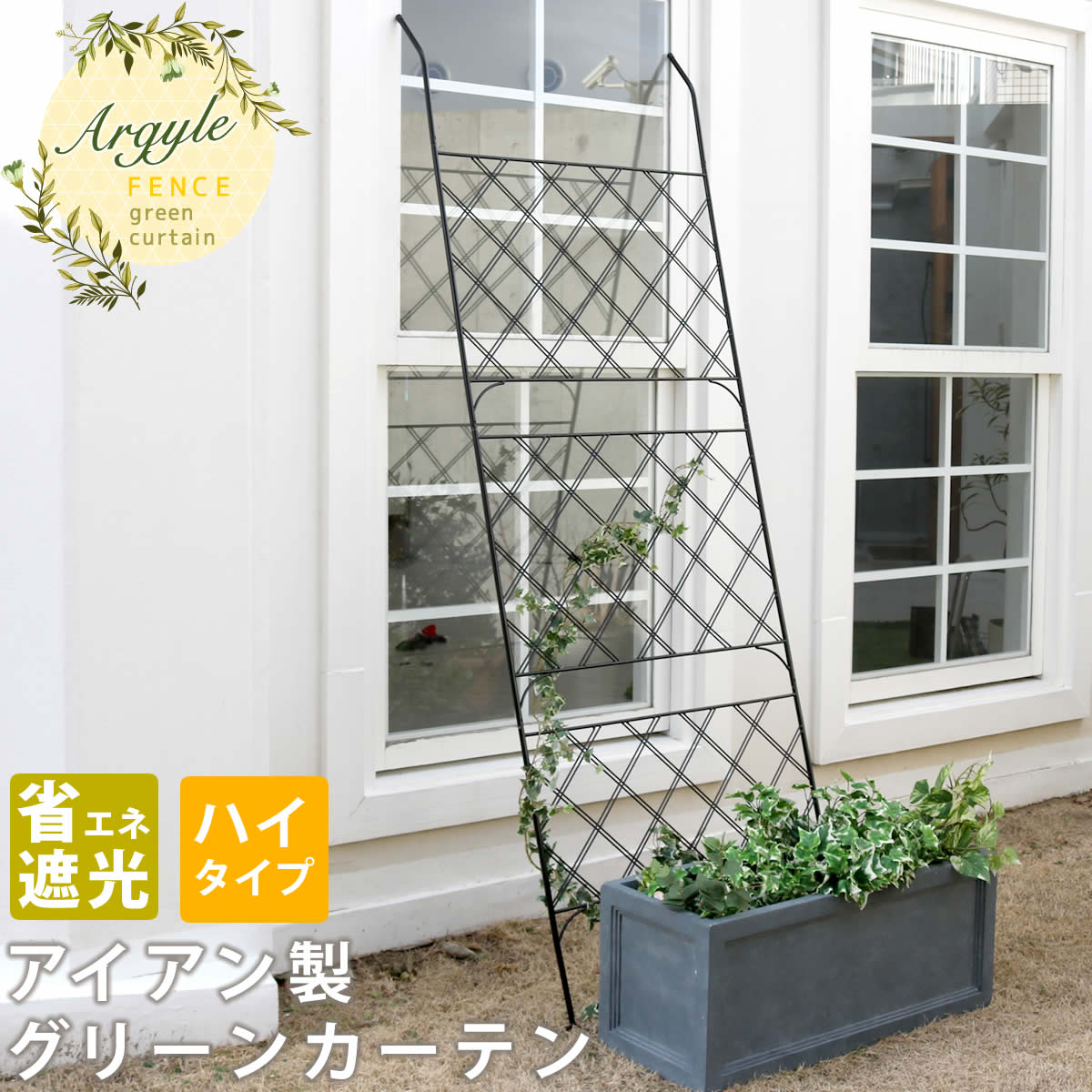 アイアン製グリーンカーテン　アーガイル　 【送料無料　フェンス　アイアン　グリーンフェンス　ゴーヤ　薔薇　バラ　朝顔　庭　ベランダ　ガーデニング 枠　柵　仕切り　目隠し　境目　アンティーク　トレリス　園芸　ラティス 屋外 】