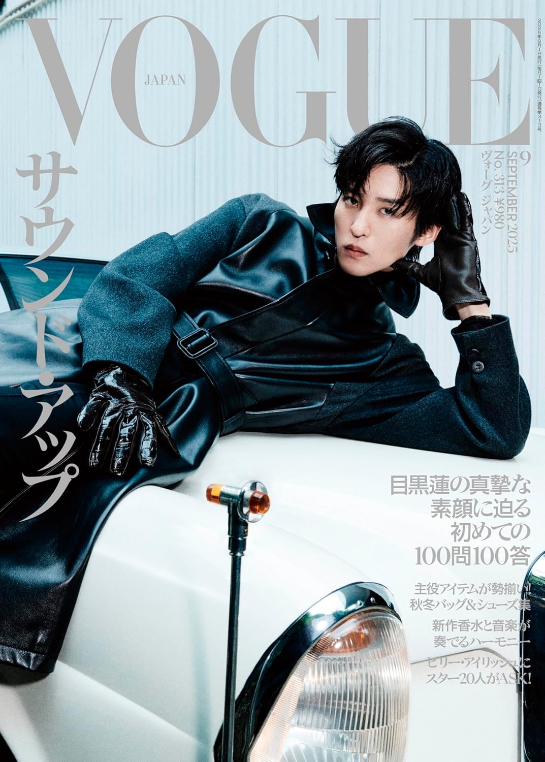 IN VOGUE  イン ヴォーグ Amazon.co.jp: VOGUE JAPAN (ヴォーグ ジャパン) 2013年 05月号