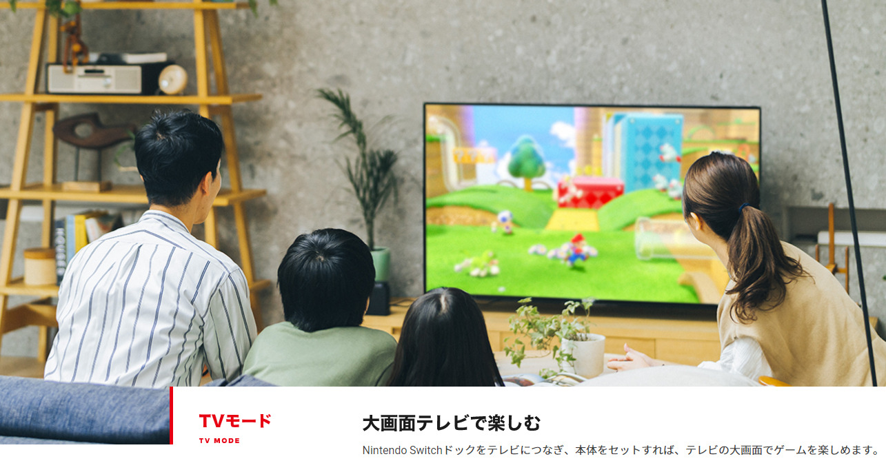 Nintendo Switch Joy-Con(L) ポケットモンスター キャリングケース
