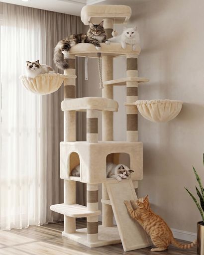 楽天市場】Heybly キャットタワー 大きな猫や多頭飼い 超スリム
