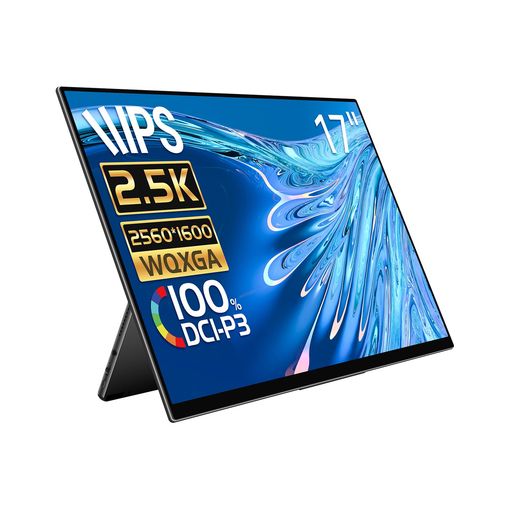 EHOMEWEI可動性管する17in144サイクル2.5KゲーミングモニターQLED携帯型管する100%DCI-P3広色域iPhone/なおなお書き4/なおなお書き5/XBOX/Switch/マイコン/Mac相応う金棒引き内蔵ブルーライトカット