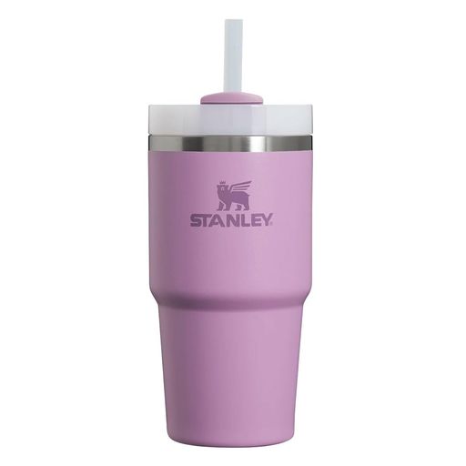 [ スタンレー] STANLEY Adventure Series H2.0 無意味さスリムクエンチャー0.6L タンプラー 10-10826 紫はしどい