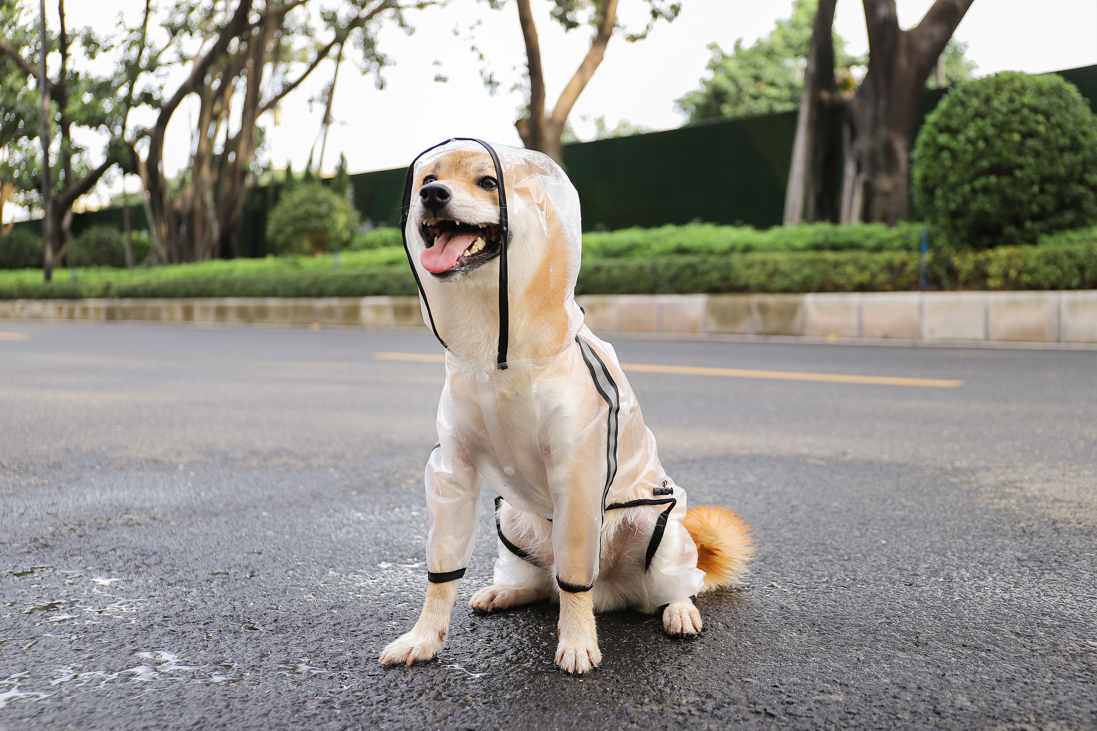 有名ブランド 犬用レインコート透明 完全防水 防雪 防塵 防風 おしゃれ 着せやすい小型犬 中型犬 大型犬 フルカバー リード通し フード付き 犬服 犬 服レインコート ペットレインコート ドッグウェアレインコート