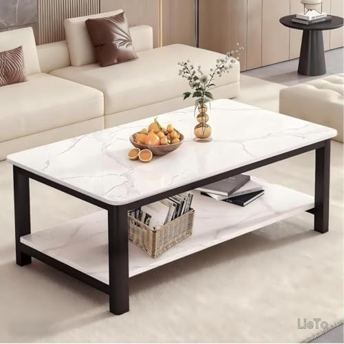 【送料無料】二段収納付き コーヒーテーブル ローテーブル 幅100cm 奥行48cm 高さ46.8cm 丈夫で安定 コンパクト 省スペース リビング 和室 ワンルーム 一人暮らし 組立簡単 日本語マニュアル付き｜LieTo