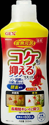 【12個書き割り】 ジェックス 金魚甲斐甲斐しい 蘚苔を抑える流動体 300ml