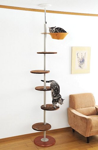 ボンビアルコン　キャットポール 21,903円