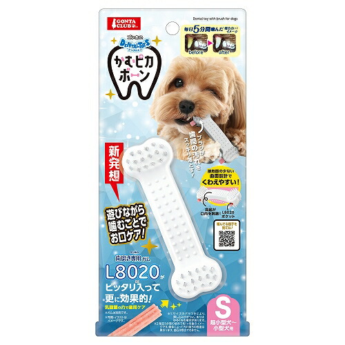【12個セット】 株式会社マルカン ゴン太のデンタルトイかむピカボーンＳ 6,825円