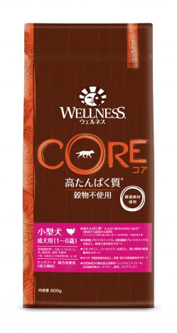 【4個仕掛ける】ウェルペット・ジャパン ウェルネスコア 小型犬 成犬用 骨抜きターキー 800g