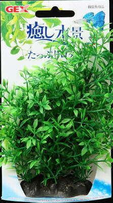 【24個書き割り】ジェックス癒し水景其れは其れはロ鱈