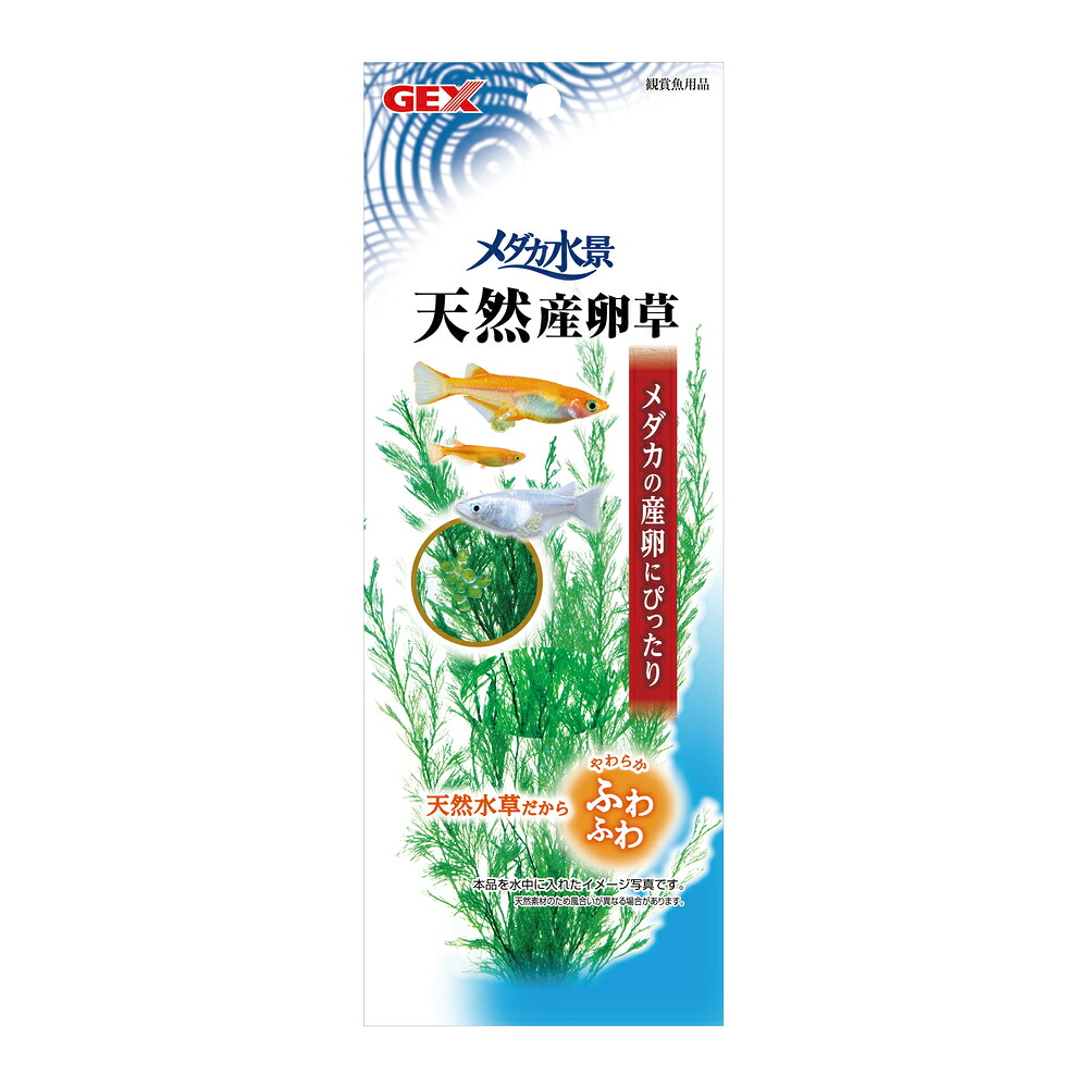 ジェックス 【48個書き割り】ジェックス  ジェックスメダカ水景生まれながら産卵草