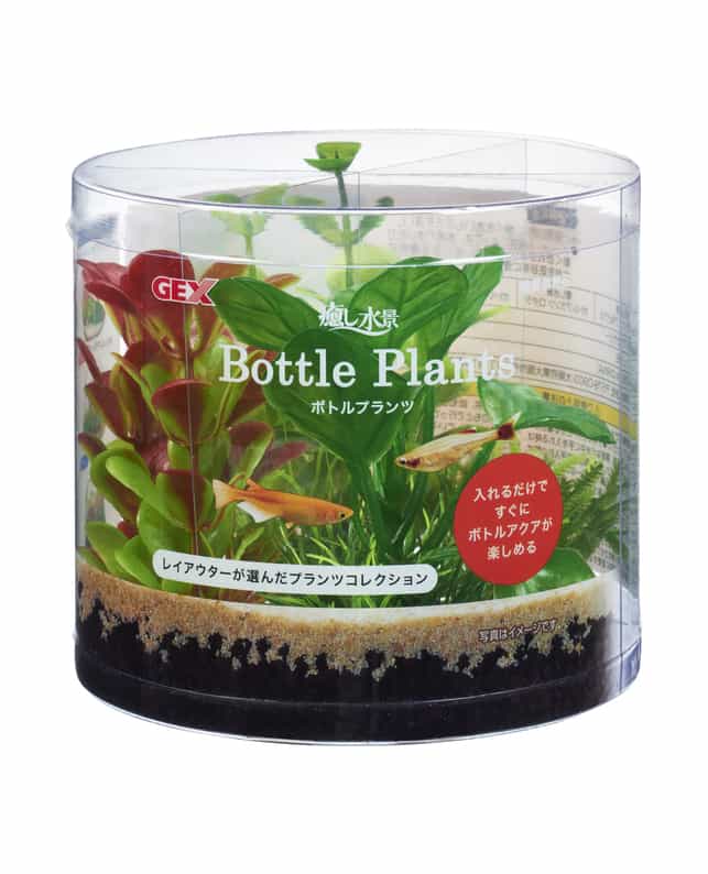 【12個セット】ジェックス ジェックス癒し水景ボトルプランツアヌビアス