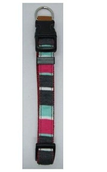 【6個セット】LEADOGパステルボーダーワンタッチカラーSミント