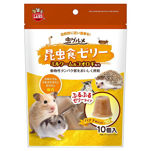 【36個セット】虫グルメ　昆虫食ゼリー 10個