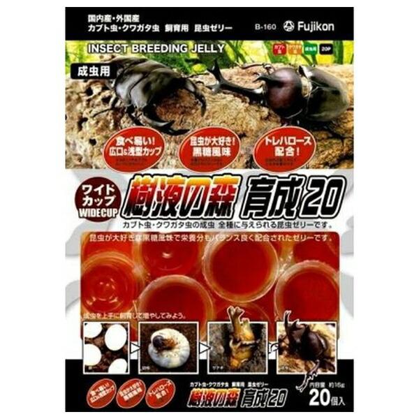 【30個書き割り】フジコン 広広とした優勝杯 樹液の森 育みそだてる２０ ２０個入り口・入口