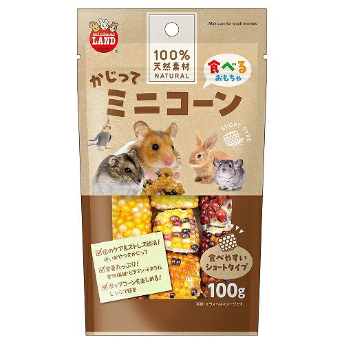 【36個仕掛ける】マルカン かじってミニ唐きび 遊撃手１００ｇ