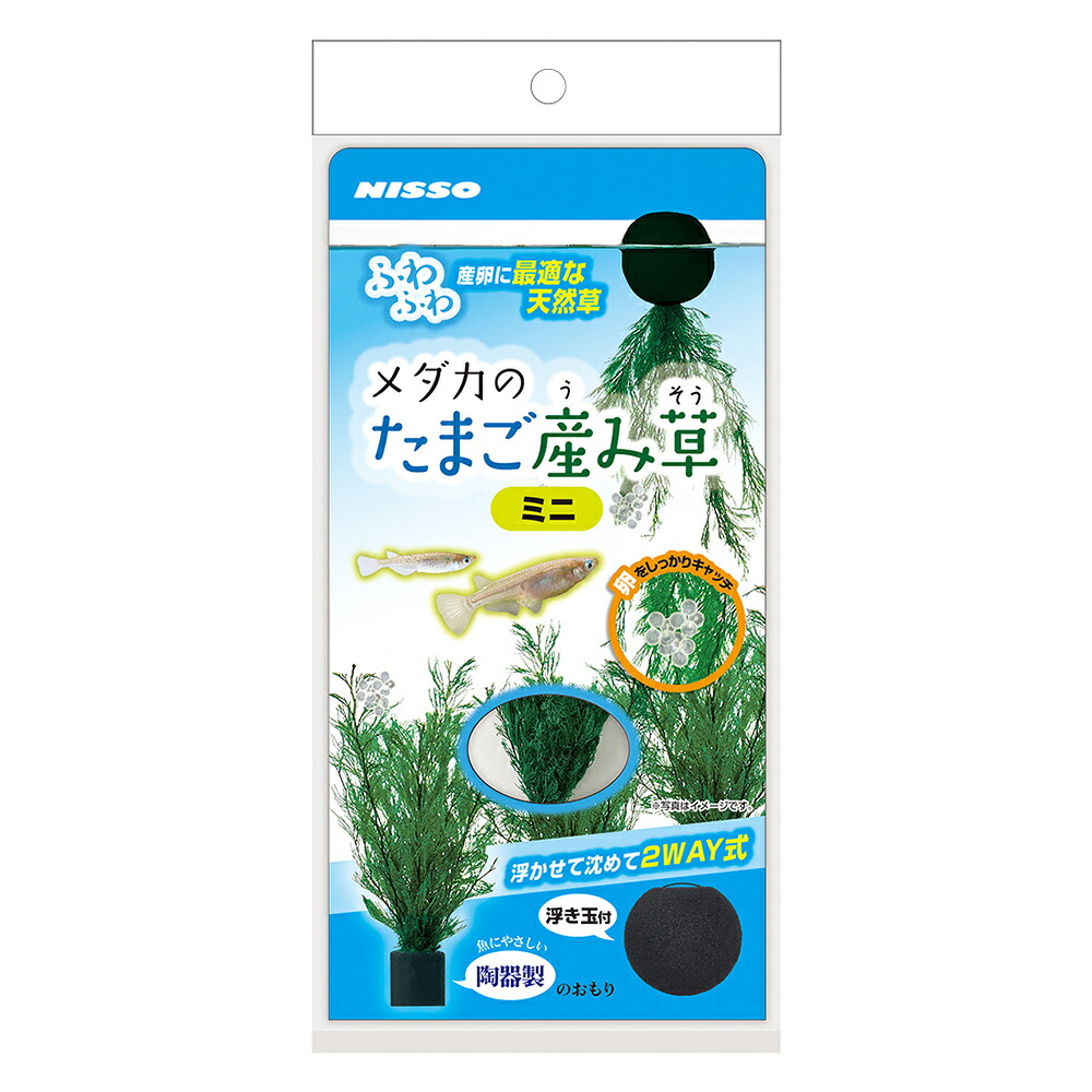【24個書き割り】株式会社マルカン(ニッソー) メダカの滅多に無いご生み出すこと草ミニ