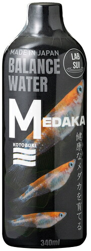 【24個仕掛ける】 寿芸術株式会社 科学研究所水 メダカ３４０竓