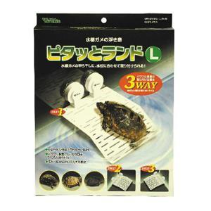 【3個セット】ビバリア ピタッとランドＬ