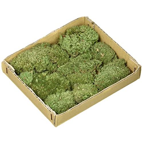 【12個セット】水作 　活きている苔ヤマゴケＭ 9,101円