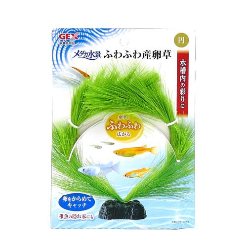 【同梱不可】【12個書き割り】 ジェックス メダカ水景 ふわふわ産卵草 円