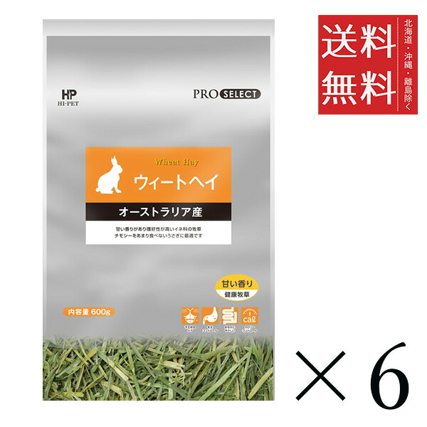 ハイペット プロセレクト ウィートヘイ 600g×6個セット まとめ買い 牧草 うさぎ エサ 小動物