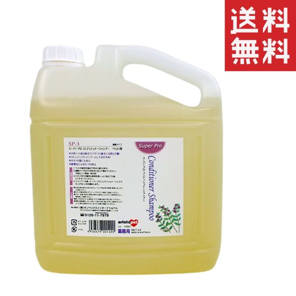 ビューティーエコPRO クレンジングシャンプーソフト2000ml ビューティエコPRO No.2 クレンジングシャンプー ソフト 50ml
