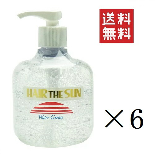 【!!クーポン配布中!!】 中央有機化学 エポラール ヘアー・ザ・サン ウォーターグリース 300g×6個 ポンプ スタイリング サロン 美容室 まとめ買い 送料無料
