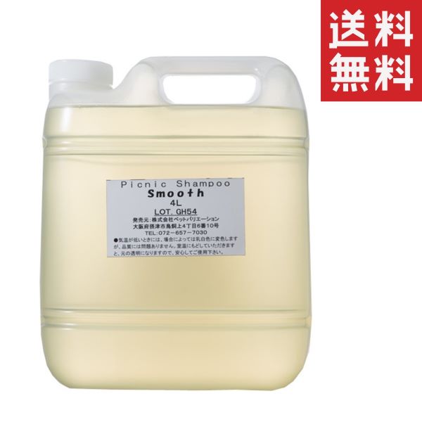 ビューティーエコPRO クレンジングシャンプーソフト2000ml EC販売禁止】ビューティーエコPRO No.1 クレンジングシャンプー