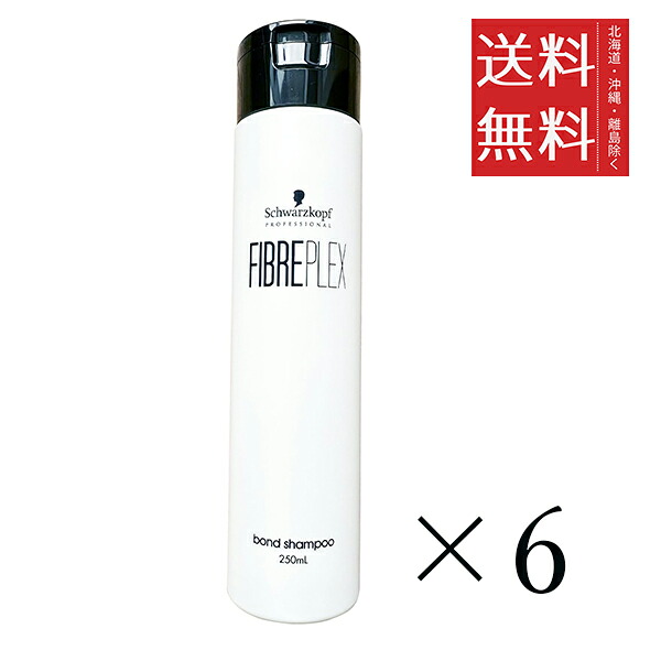 シュワルツコフ 衣料繊維プレックス 公債証書シャンプー 250ml×6個仕掛ける まとめ買い 髪の毛世話をする 取りつくろう 防御すること 泡立ち