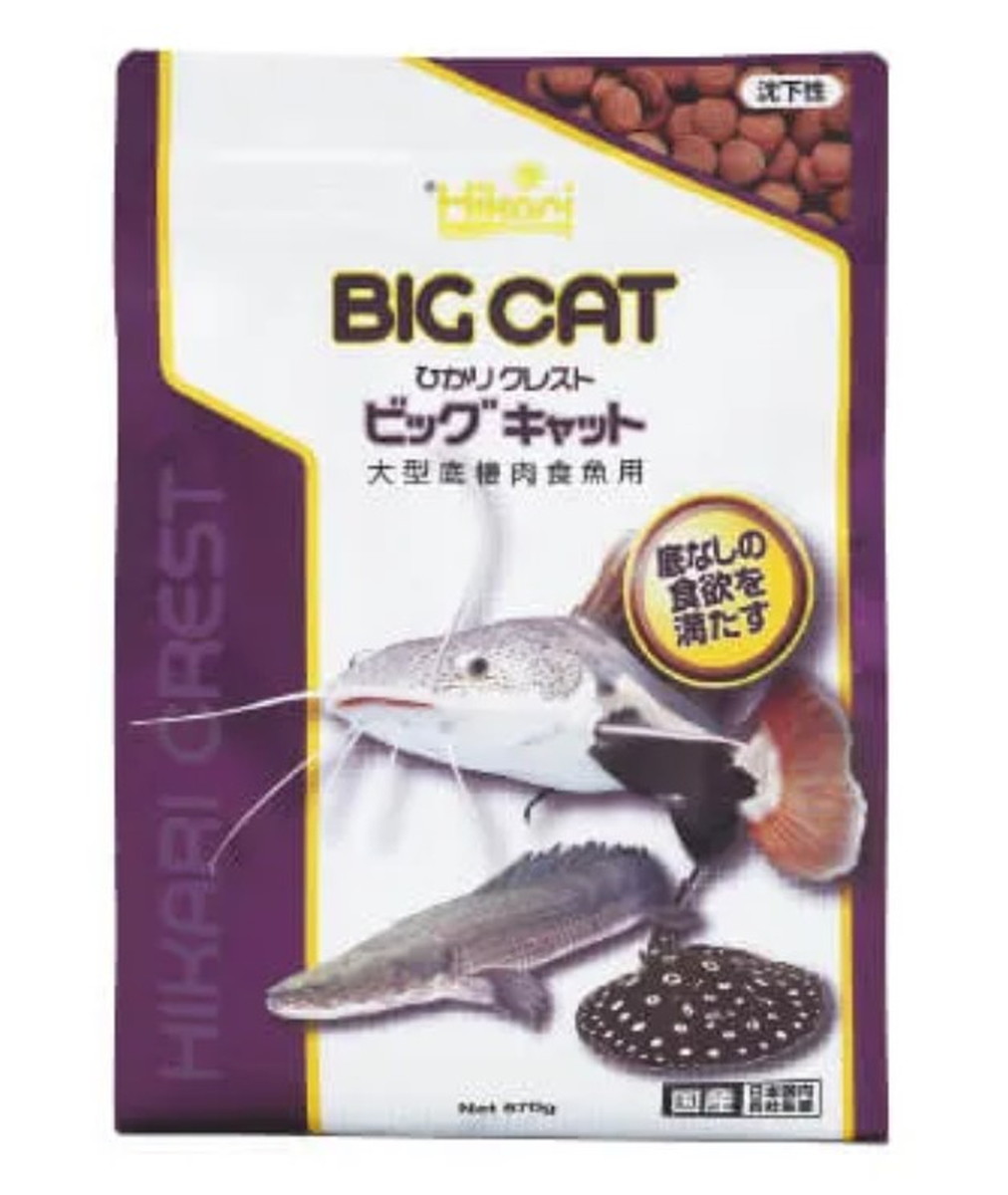 【同梱不可】【3個セット】 キョーリン　ひかりクレスト ビッグキャット 570g